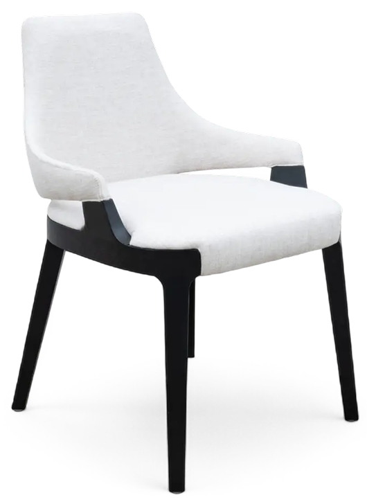 Finitura chair FDS02 Model